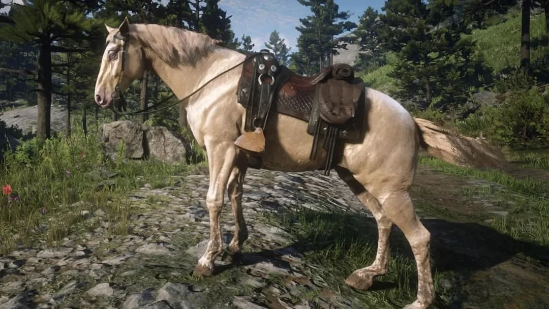 RDR 2 Dutch Warmblood