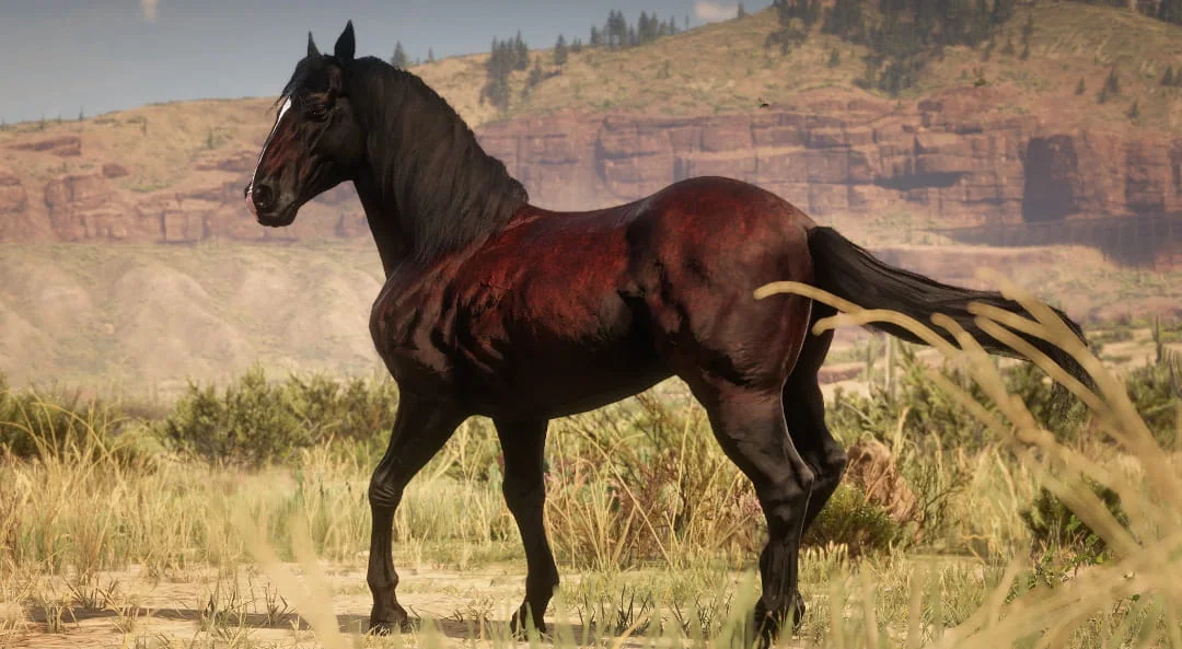 RDR 2 Andalusian