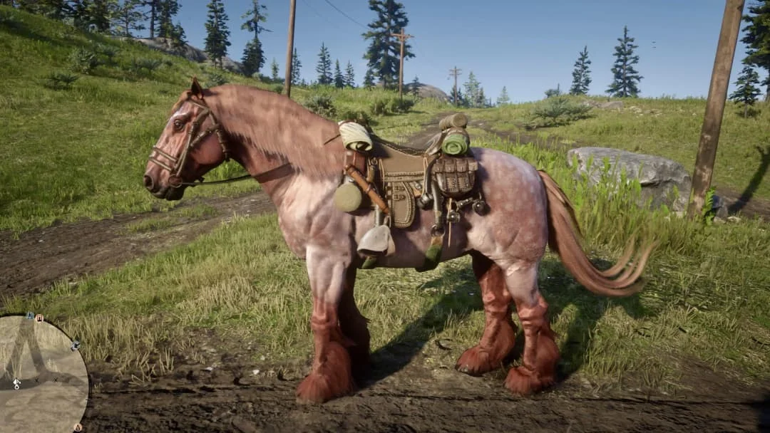 RDR 2 Ardennes