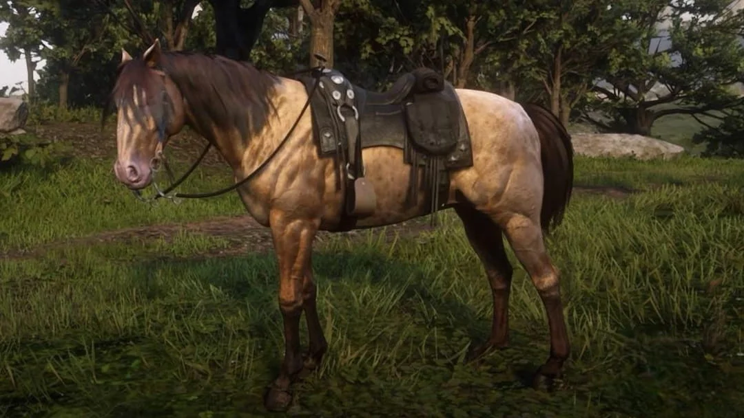 RDR 2 Missouri Fox Trotter