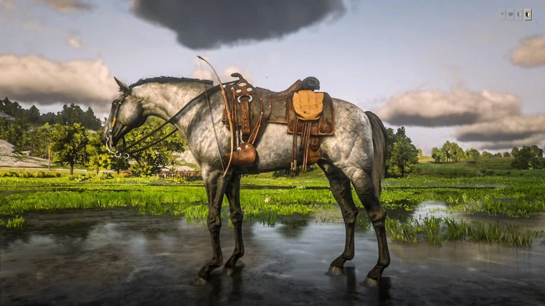 RDR 2 Turkoman
